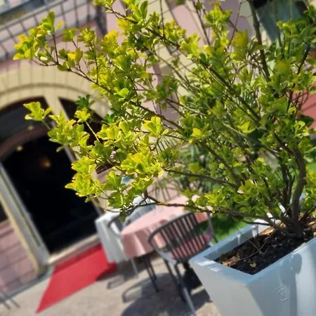 Regina Margherita 4* Rovigo
